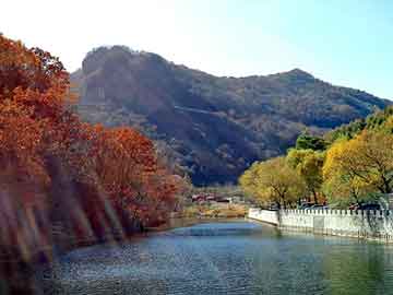 奥门天天开奖免费资料，湖南黑山羊价格